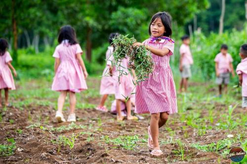 75446537_3472335706125049_101598576668311552_n