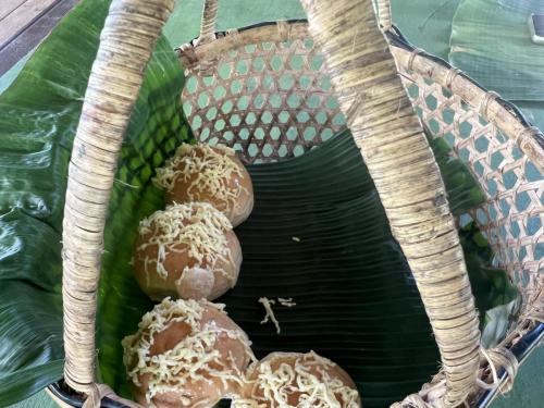 423147382 3655944634732606 357580085802256398 n (1)