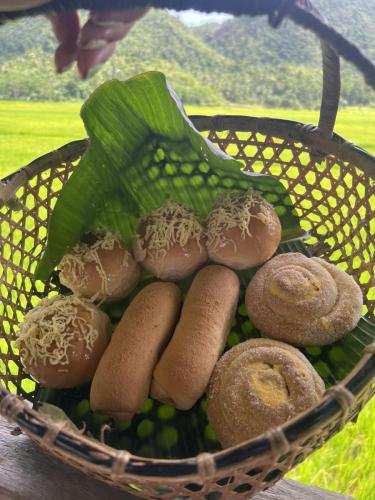 426836749 1516140455908456 5993647366667249186 n (1)